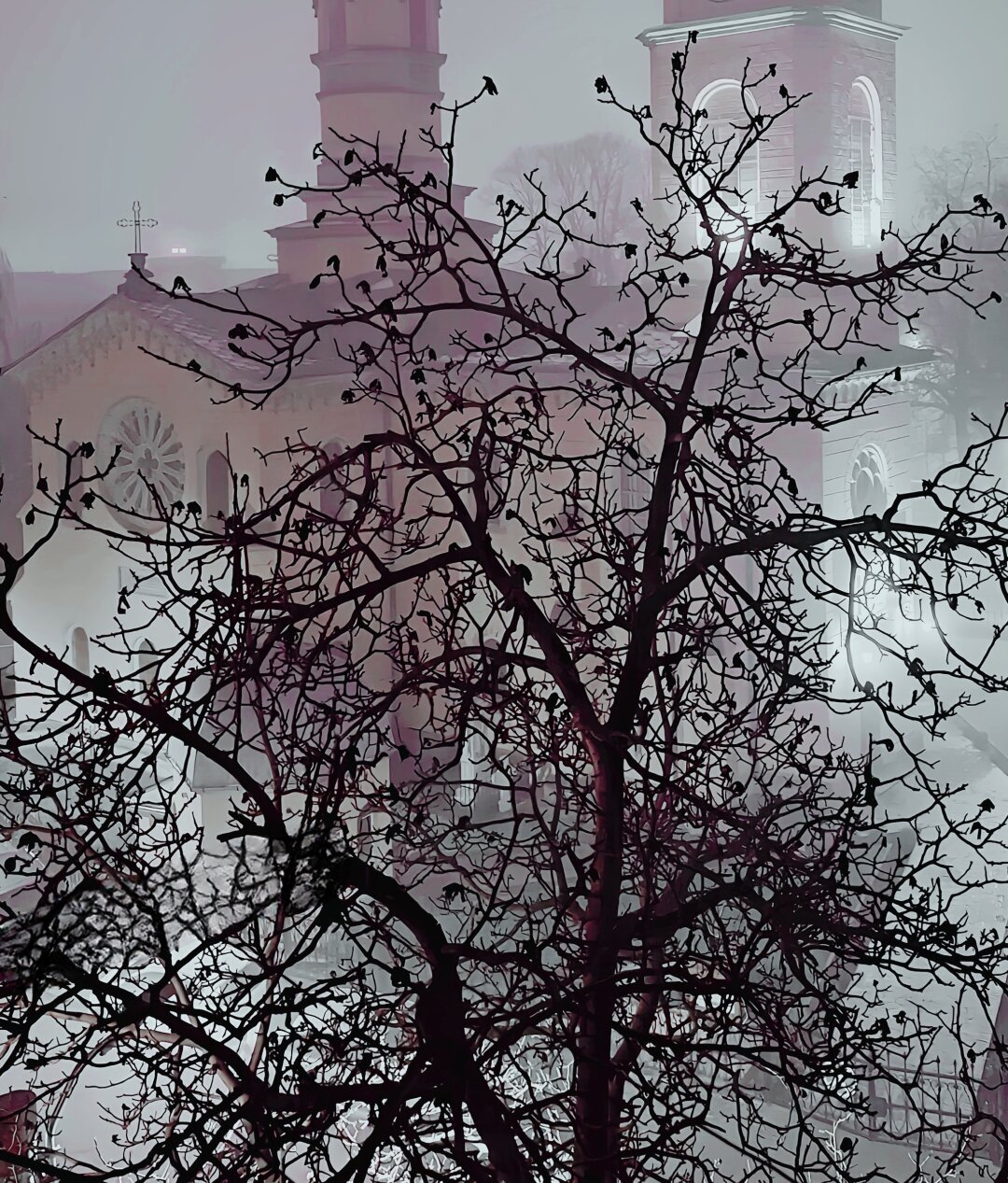 A serene and mysterious scene with a large, leafless tree prominently in the foreground. The tree’s intricate branches form a striking silhouette against a misty background. In the distance, you can see two church towers with illuminated clock faces, partially shrouded by the fog.