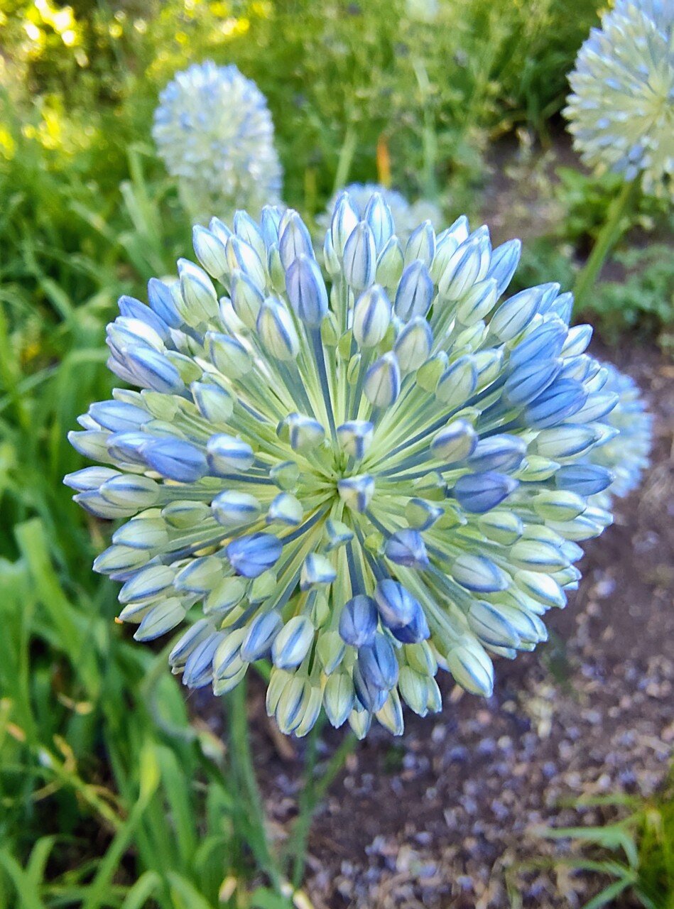 Red Butte Garden, Salt Lake City, Utah