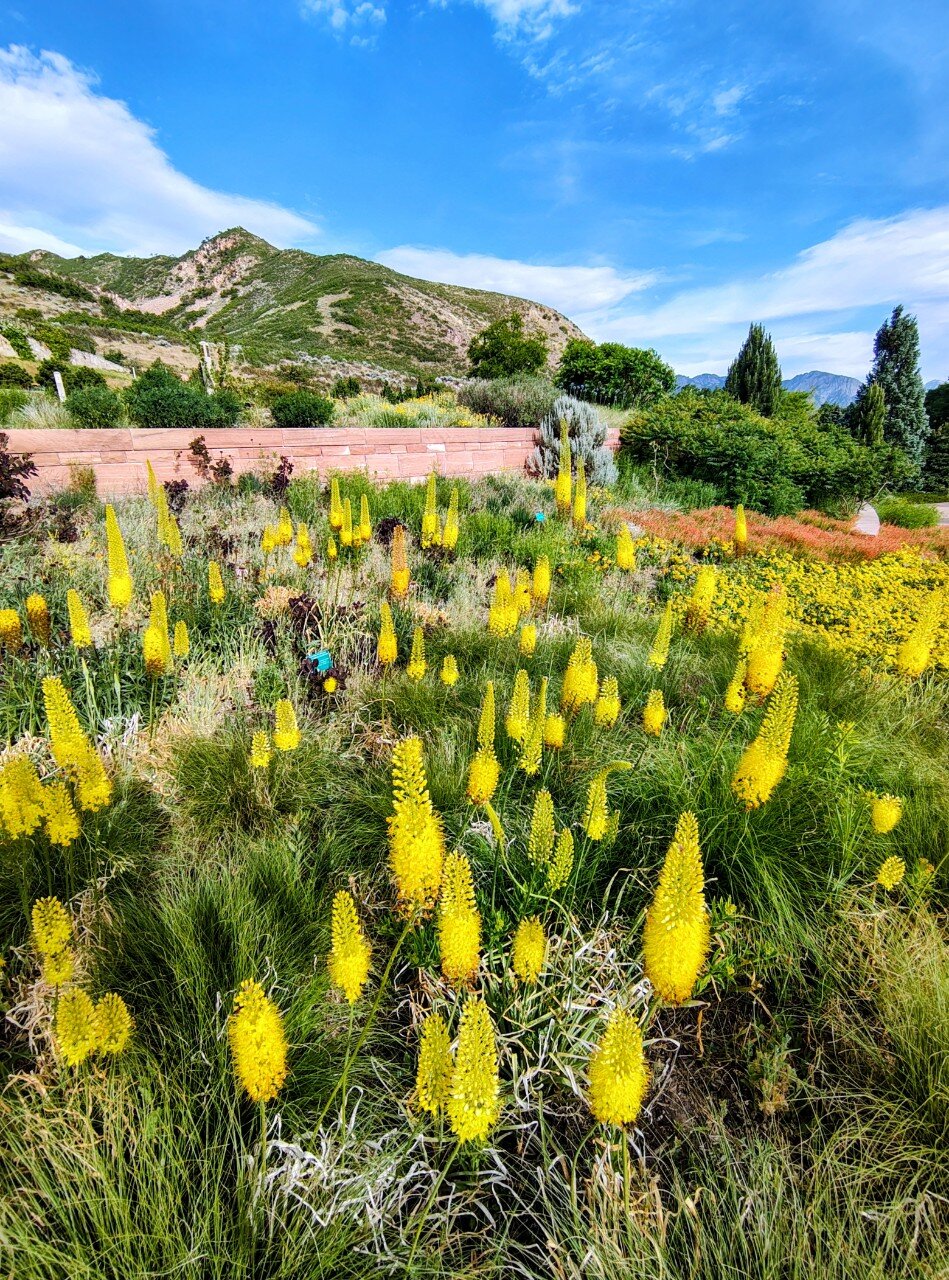 Red Butte Garden, Salt Lake City, Utah