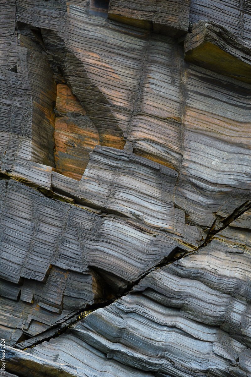 Weathered grey rocks with a patch of bright orange