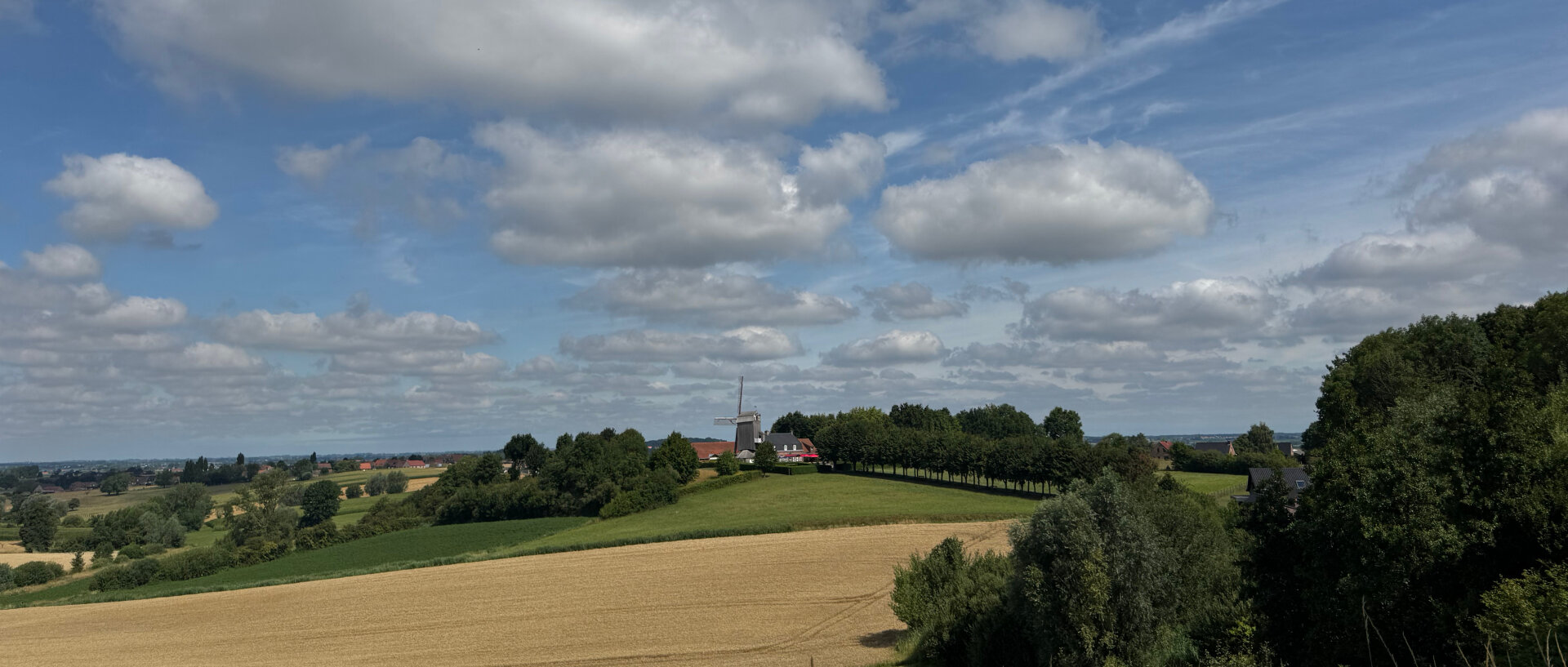The Boeschepe windmill between green fields and patches of trees, under blue skies with light clouds