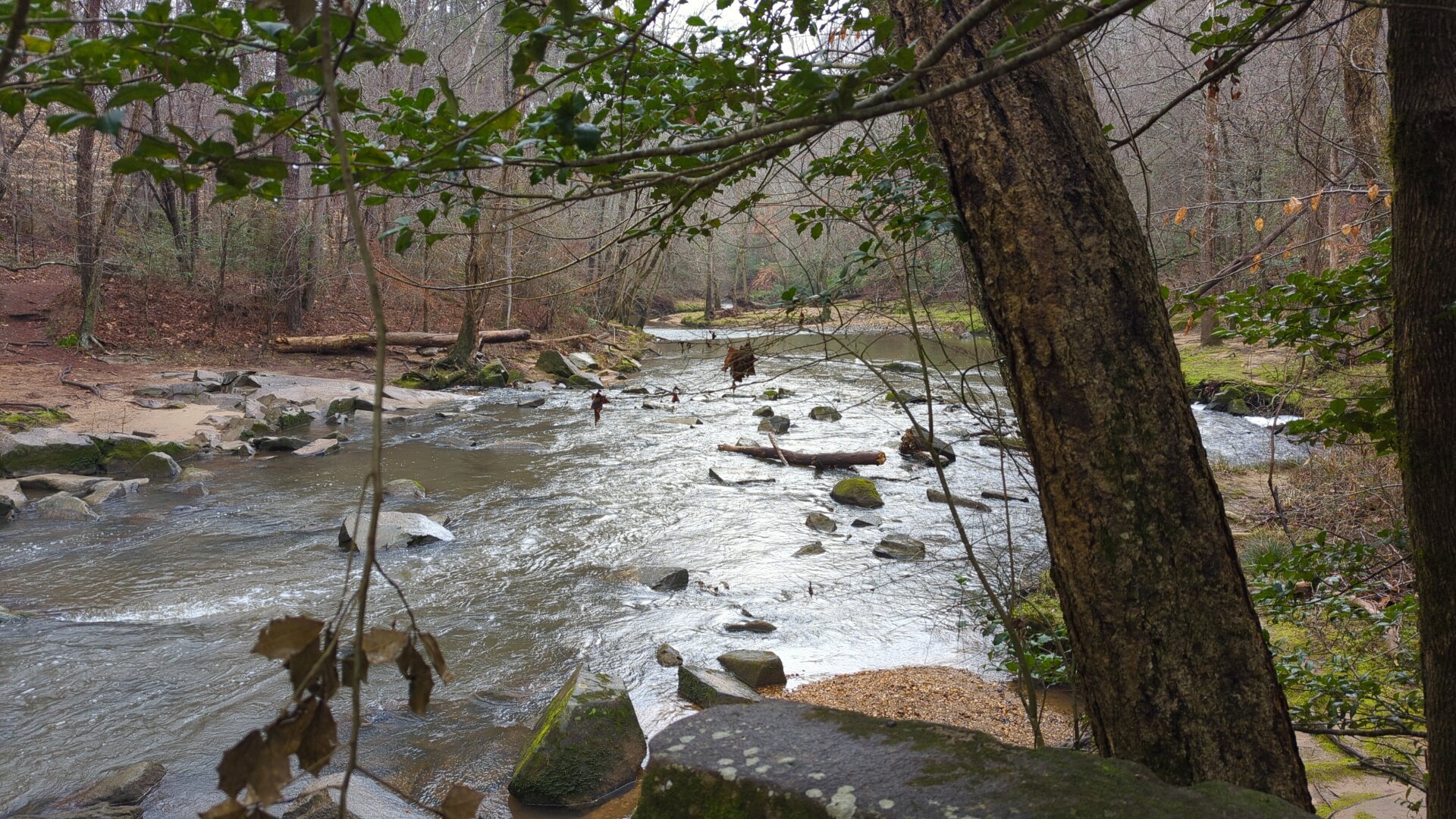 Crabtree Creek in Umstead State Park, North Carolina