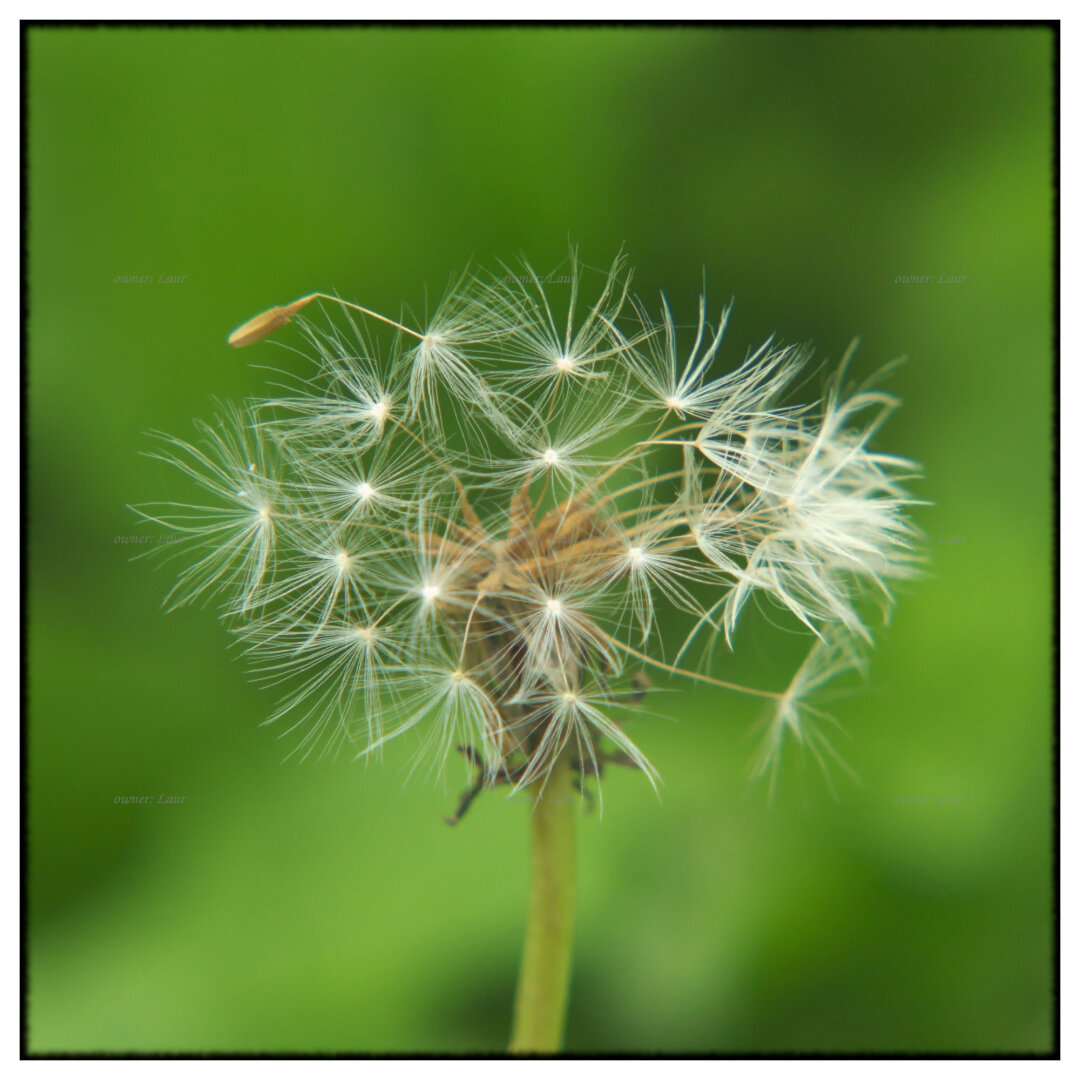 Nature, color, photo