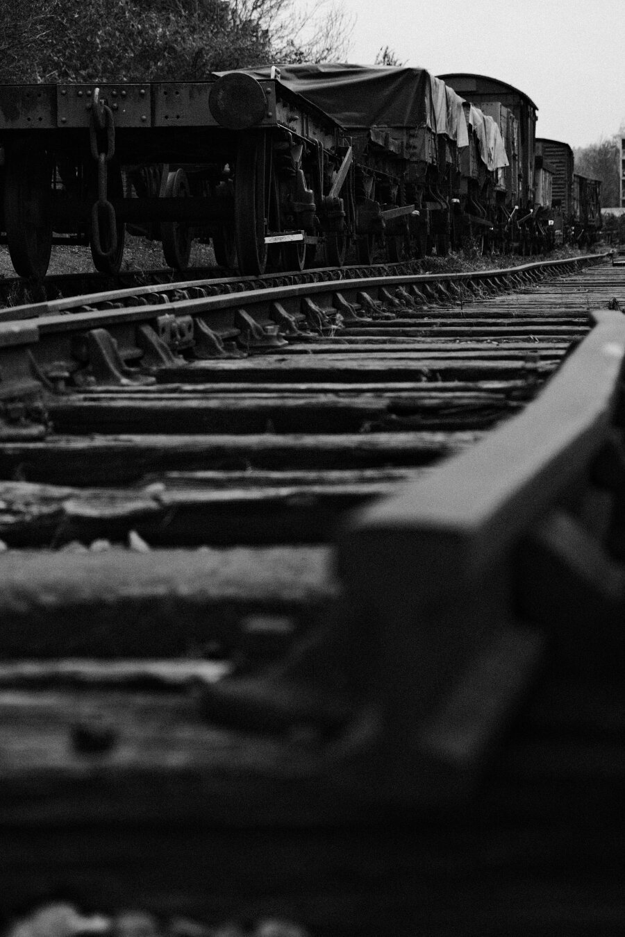 Low to the group monochrome photo of a train track with some old carts.