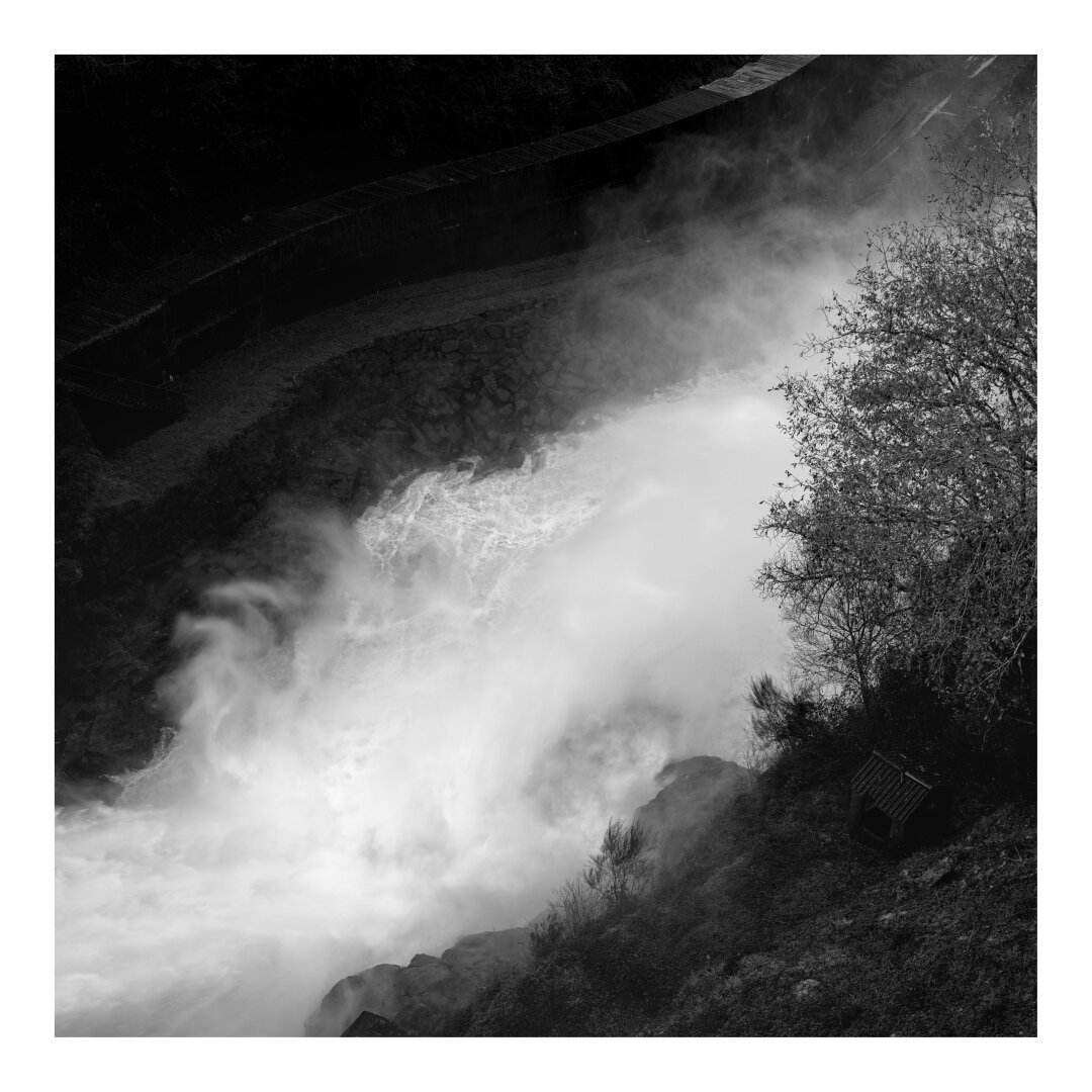 Black and white image of turbulent waters, little tree and a small cabin.