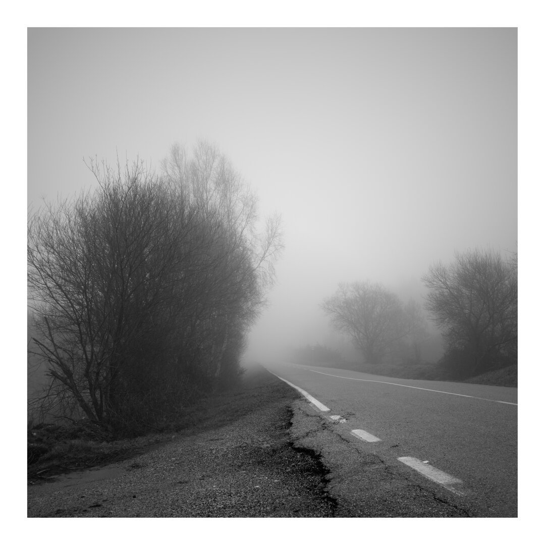 A desolate scene unfolds in Spain, where an empty road stretches into a thick fog. Bare trees flank the roadside, their skeletal branches reaching into the oppressive mist.