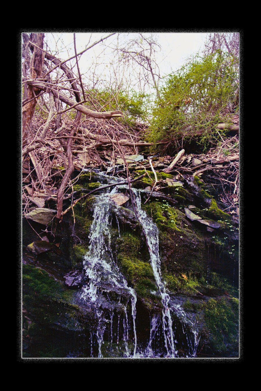 The image features a small waterfall cascading down a rocky slope covered in moss and surrounded by dense vegetation. Twisted tree branches and scattered debris frame the scene, giving it a rugged, natural feel. The water glistens as it flows, creating a sense of movement and tranquility.