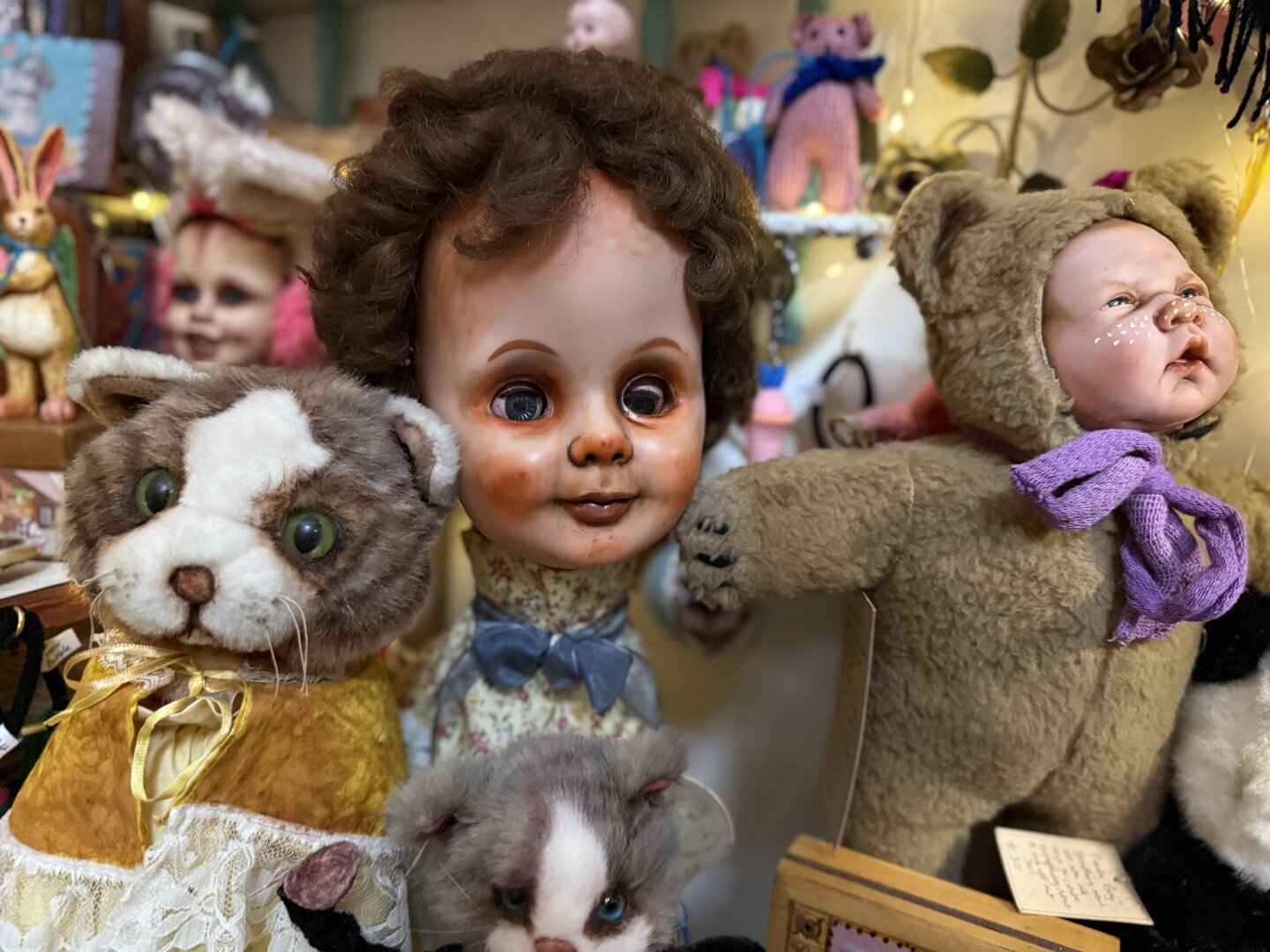 Creepy dolls from a charity shop