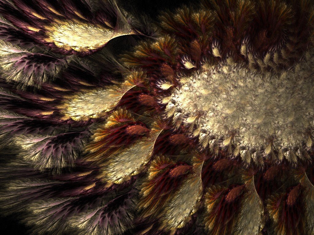 A close-up of a feathery spiral in shades of beige, red and purple.