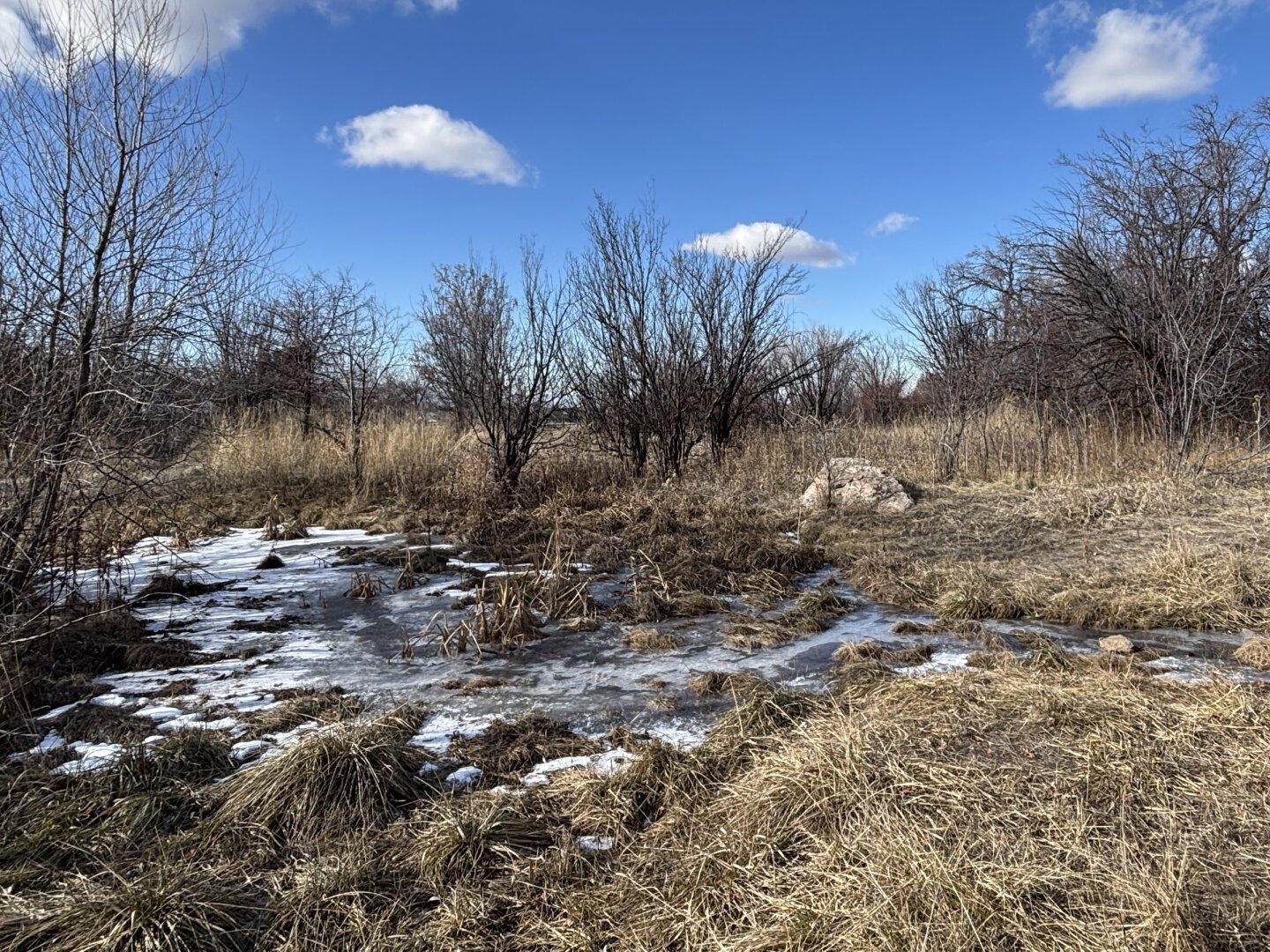 Frozen marshes under a partly-cloudy blue sky.