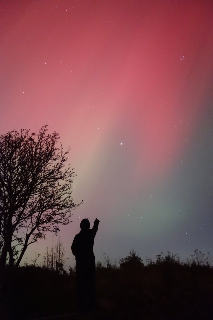 A silhouetted person pointing at a planet in the sky during an Aurora display. The Pleiades are sharply shown. A tree is show in silhouette.