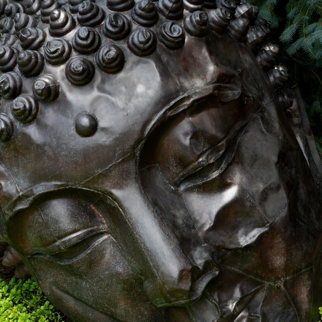 Close up shot of a dark bronze Buddha statue's face and head, angled to show rows of tight snail-shell curls, the raised dot (urna) on the forehead, a downcast eye, and the nose. The metal surface has a mottled green-brown patina.