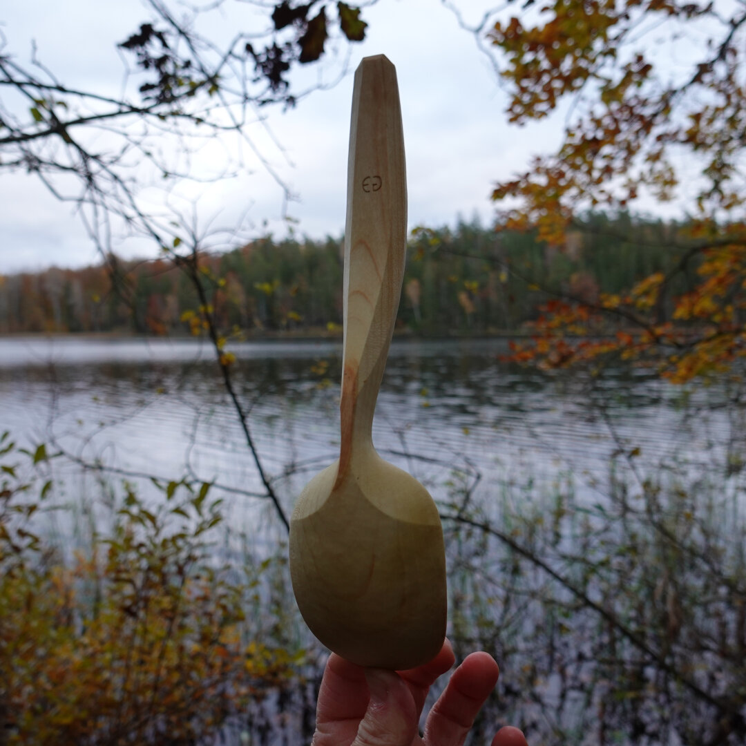 Wooden spoon backside held in front of water and forest