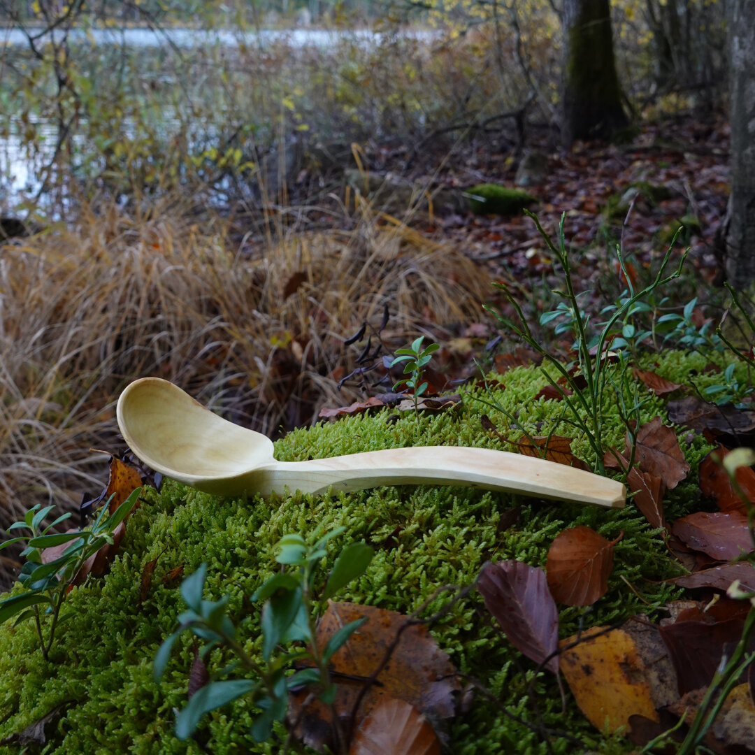 Wooden spoon laying on moss