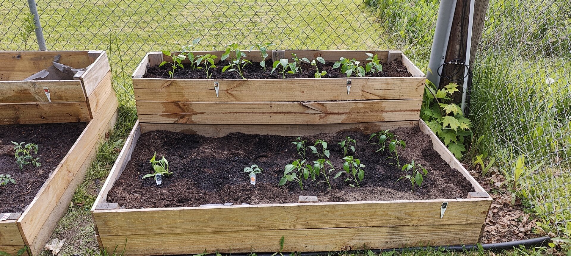 Planter box with zucchini, yellow squash, jalapenos, and bell peppers on the top.