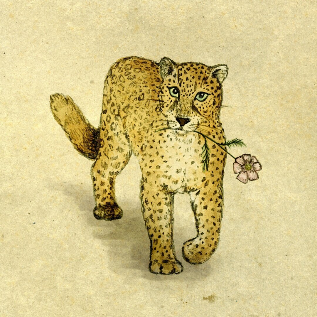 Pencil and watercolour on brown paper. A leopard carrying a flower.