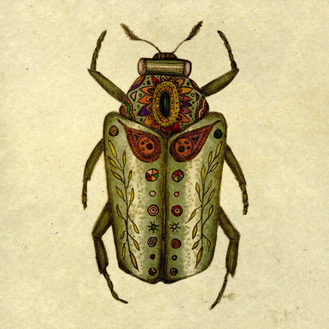 A pencil drawing of a beetle in a folk art style with baroque embellishments, coloured in vintage tones, on a brown paper background