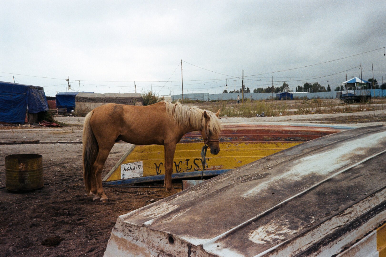 A tan horse with a blonde mane stands tethered in a dusty, rundown area, surrounded by old boats, debris, and makeshift tarp-covered structures under an overcast sky.