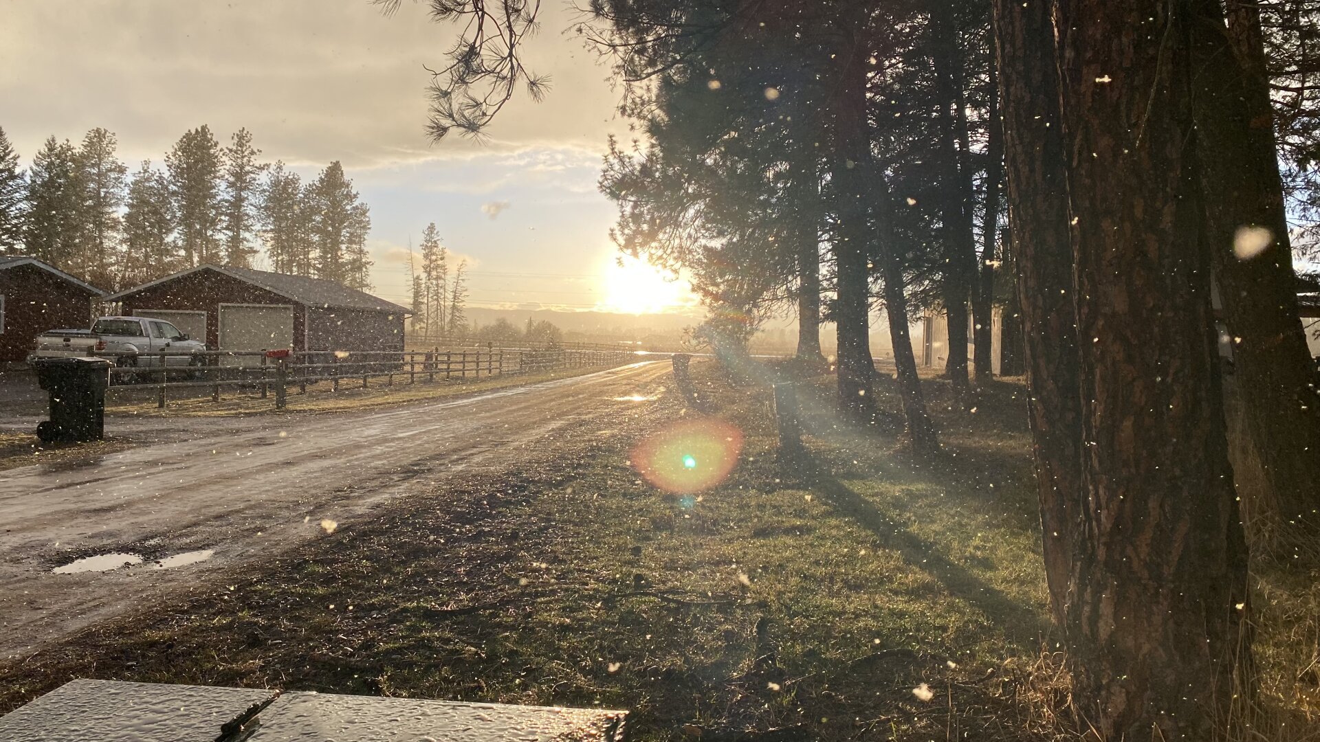 Bright evening sun just over the mountains shining light through the snowflakes making them glow. To the left is a private road that leads to the main road but looks like it’s headed for the sun. Pine trees to the right.