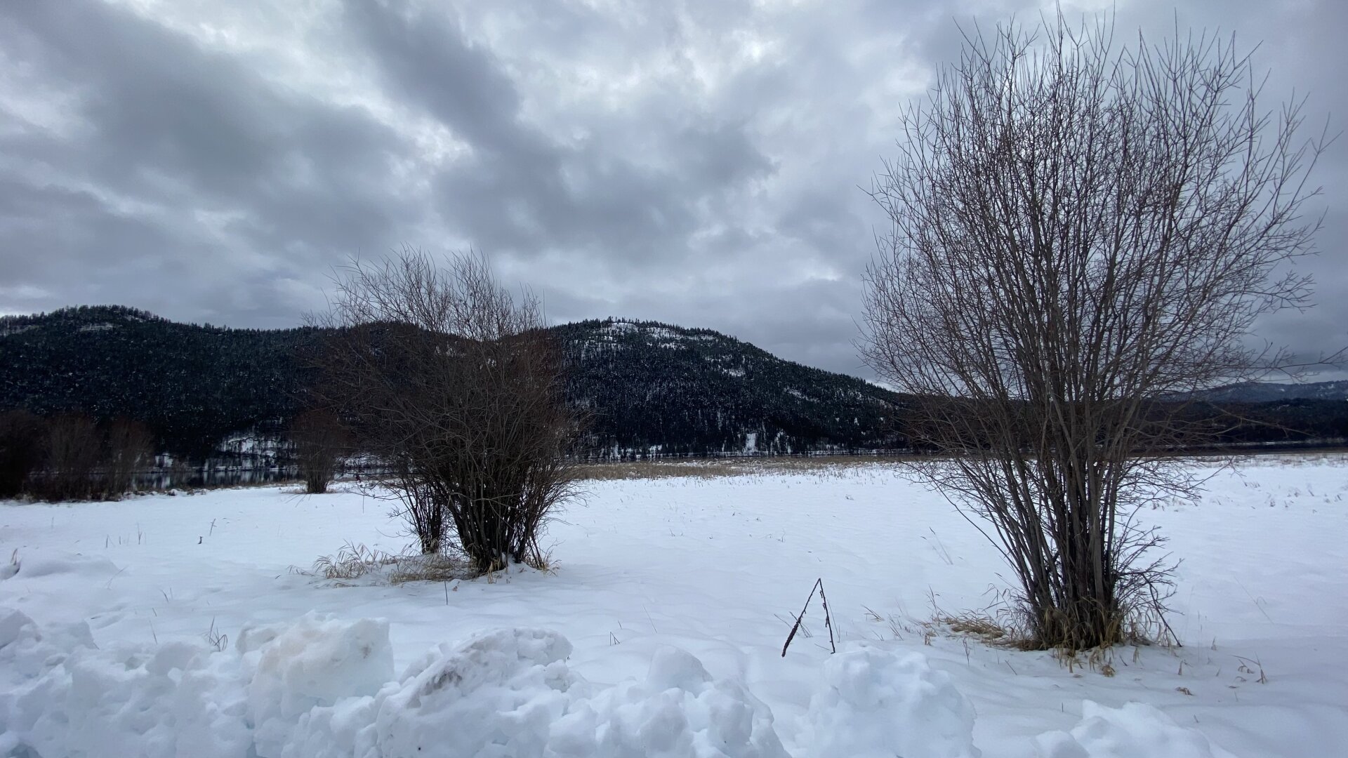 Lots of snow on the ground. Two scraggly trees in the foreground and mountains in the back. Sky is overcast.