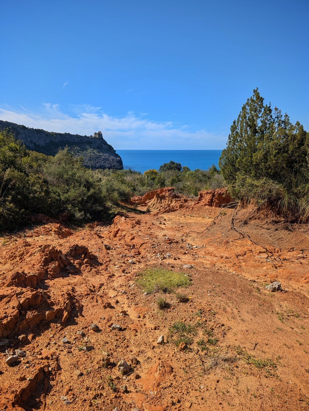 Path through red earth dunes leading to the woods and from there to the sea.