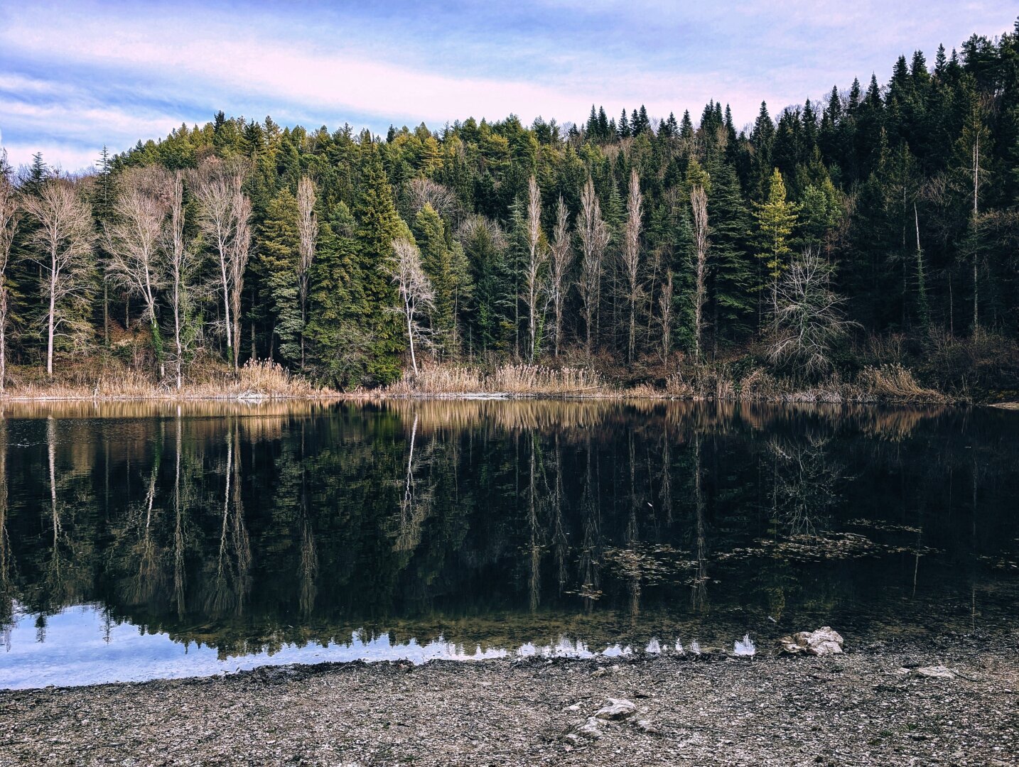 View of a lake. In the foreground, pebble and sand shore. In the centre, the quiet waters of the lake reflecting the trees of the forest on the opposite shore. Above the forest, a blue sky with a few white clouds.