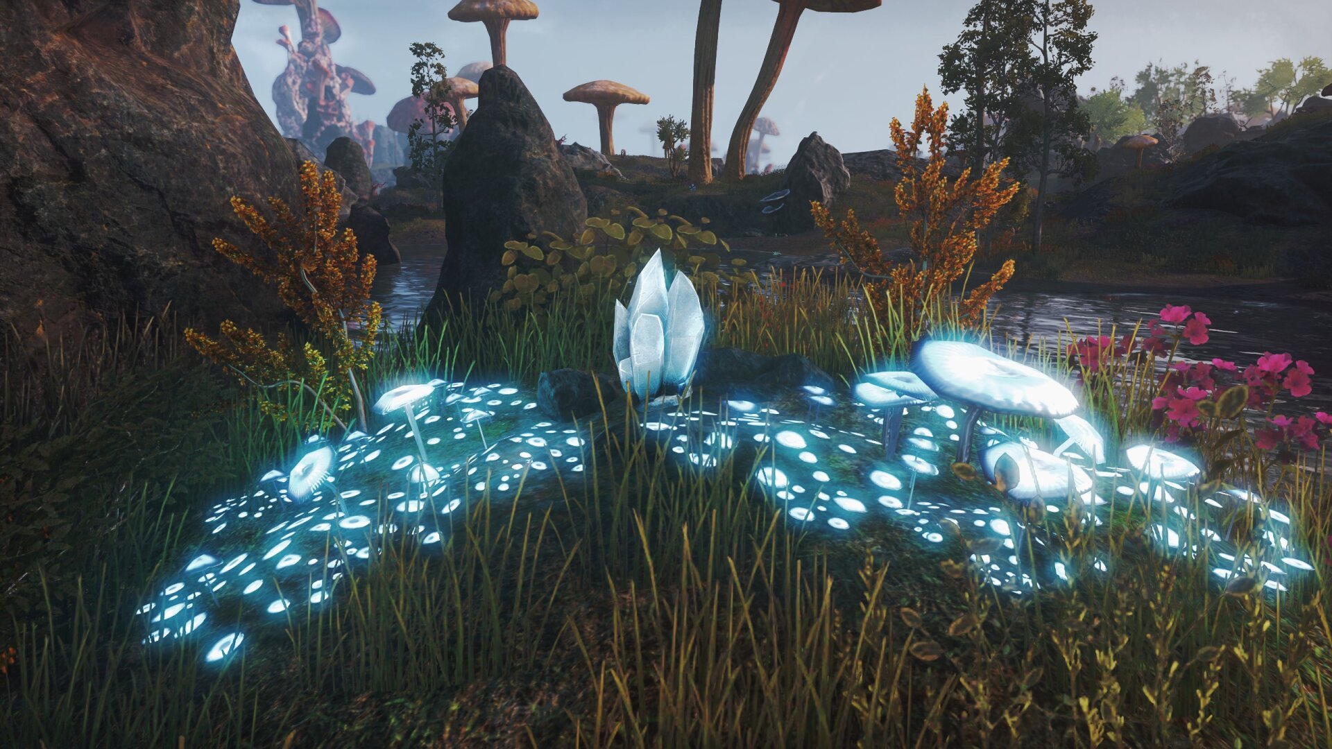 A cluster of glowing mushrooms and a skyshard (a large, blueish-white glowing crystal) in a fantasy landscape with large mushrooms, grass, and a water in the background.