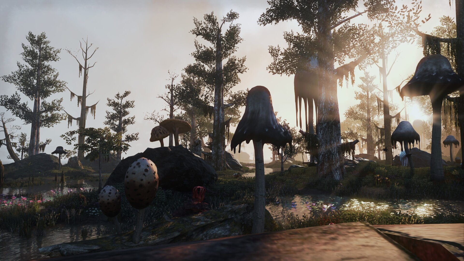 A screenshot from the game Elder Scrolls Online. It depicts a swampy area, a part of the Bitter Coast. The swamp is dotted with trees and large mushrooms. There are also smaller bushes, ferns and flowers in different colors. It is dawn and the sun shines through the leaves. The atmosphere is calm and peaceful.