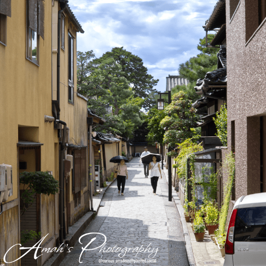 Two women holding umbrellas walking down the street during a bright sunny day in Kanazawa, Japan. The scenery includes a street made of a neat stone path in  a residental area with buildings on each side. There are trees in the background and a blue cloudy sky above the trees. Watermark is in the bottom left of the image stating "Amah's Photography, @curiousamadeus@pixelfed.social".