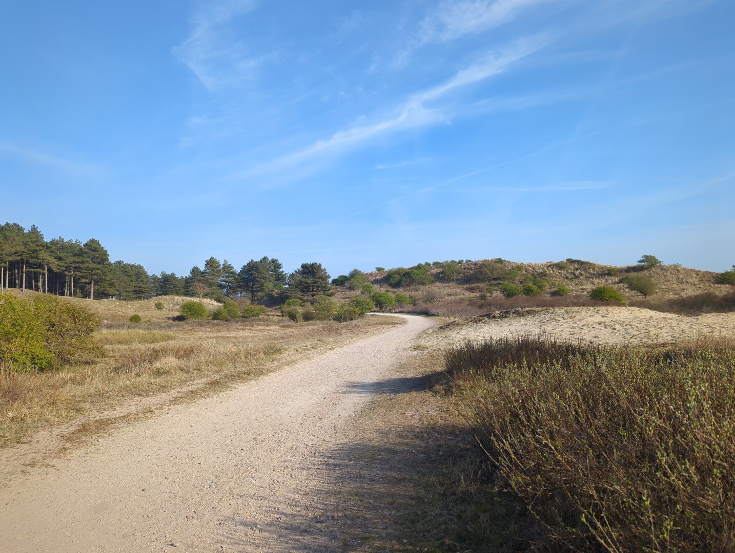 Op de voorgrond loopt een schelpenpad van links onder naar het midden weg, eindigend
 in een bocht naar links. Links en rechts van het pad een zanderig, droog ogend landschap. Tegen horizon wat glooiingen met bomen. De lucht is helderblauw met wat wiite, uitwaaierende vliegtuigsporen.