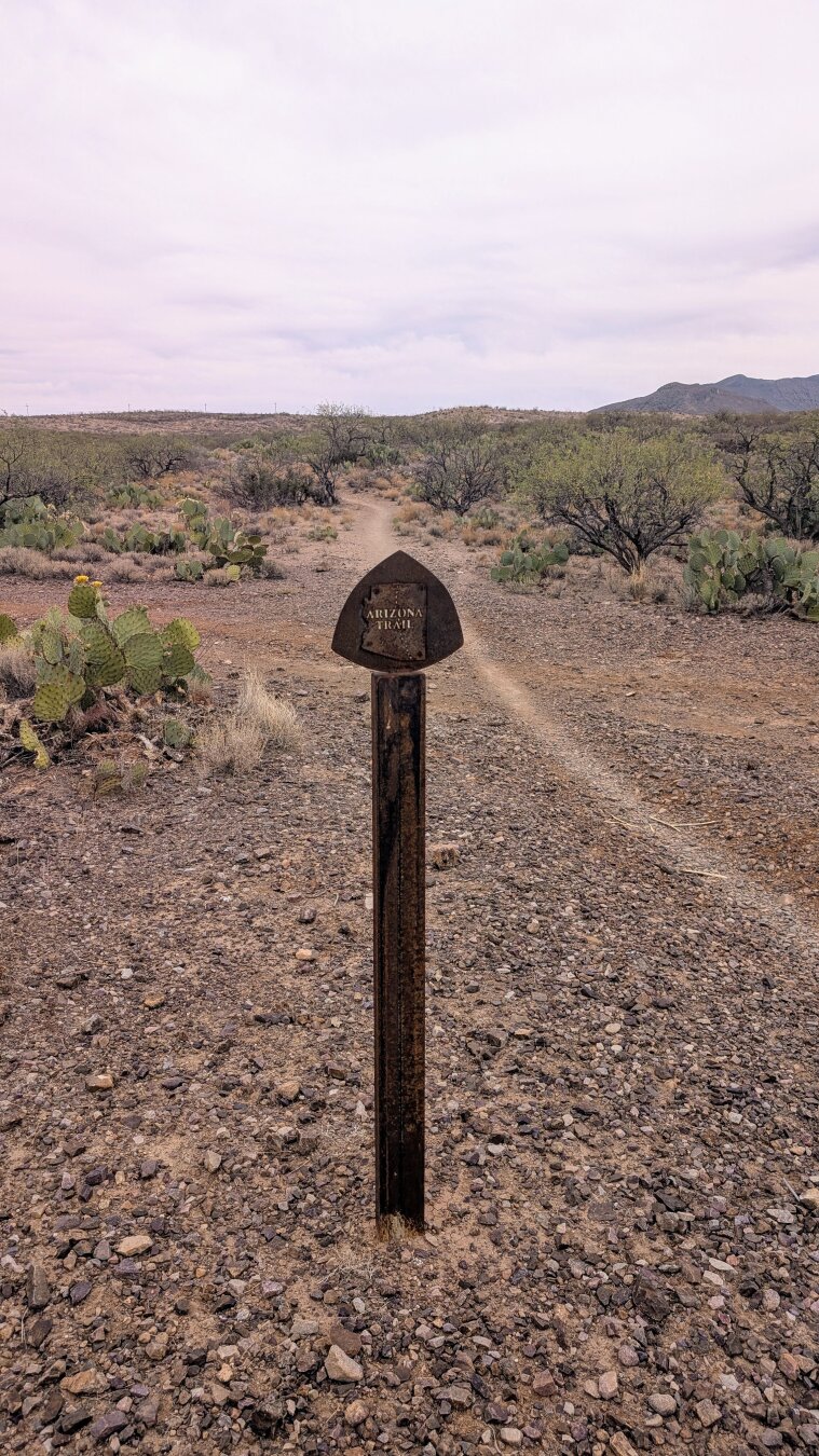 A brown metal sign reading "Arizona Trail".  The trail reaches off into the horizon in the middle of the photo.  All around are typical desert cacti and bushes.