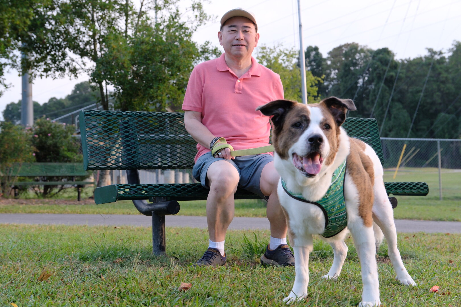 A white and brown dog  standing in the front looking forward with his servant man sitting on a park bench behind him.