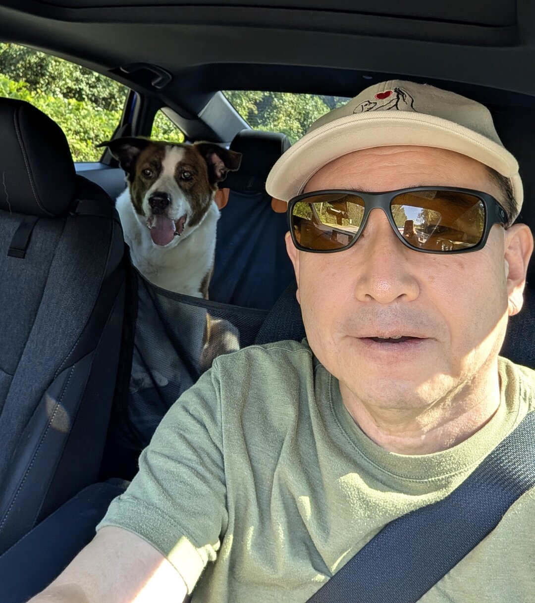 A man wearing sunglasses in the driver's seat and a white and brown dog sitting in the rear seat looking forward