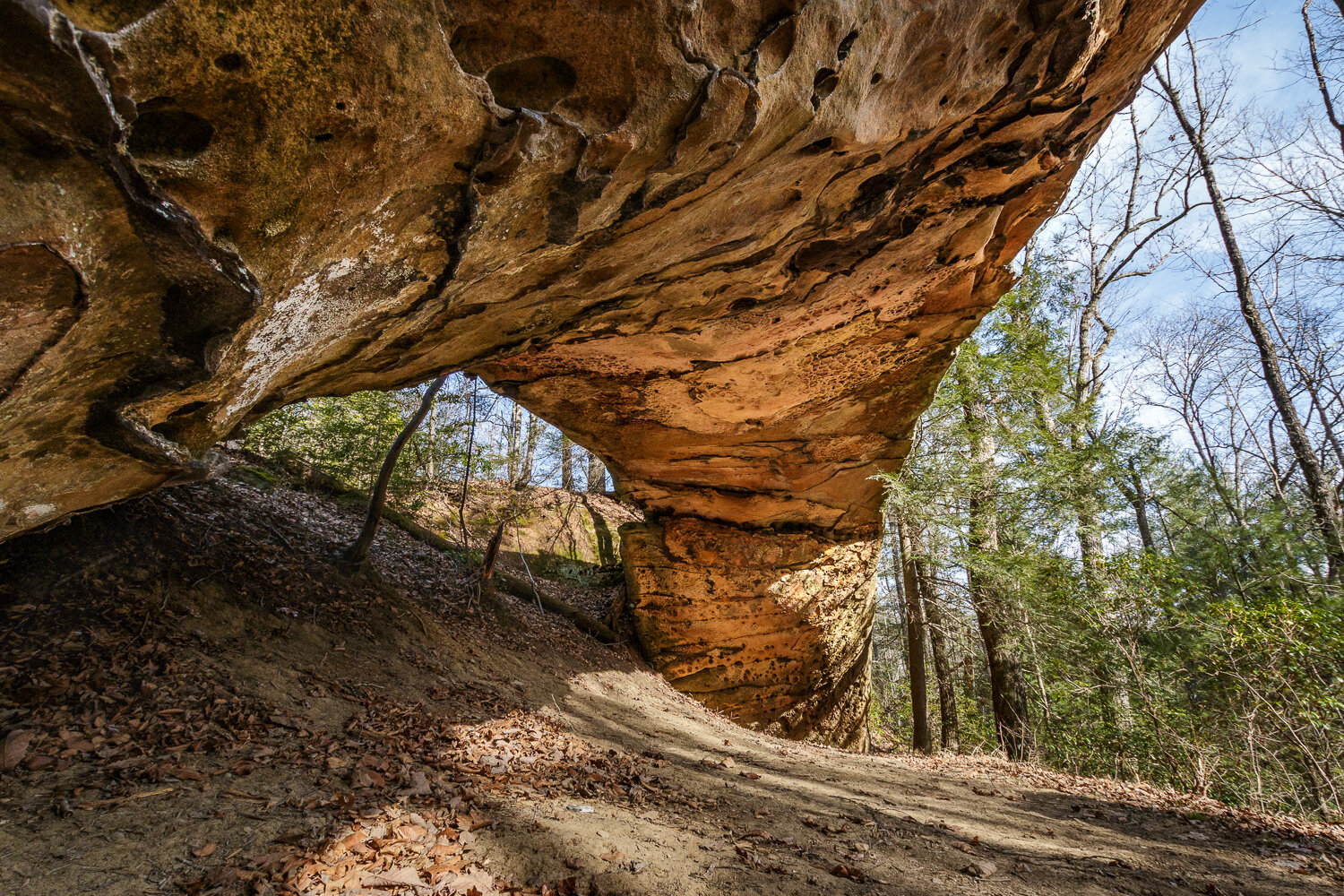 Bolton Twin Arch - Daniel Boone National Forest, Kentucky
