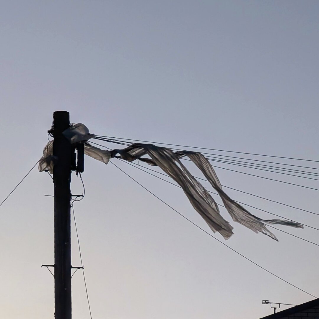 The top of a telephone pole, silhouetted against a pale blue sky at dusk. Wires fan out from it, with a long wispy sheet of something translucent  tangled up in them, catching the last sunlight.