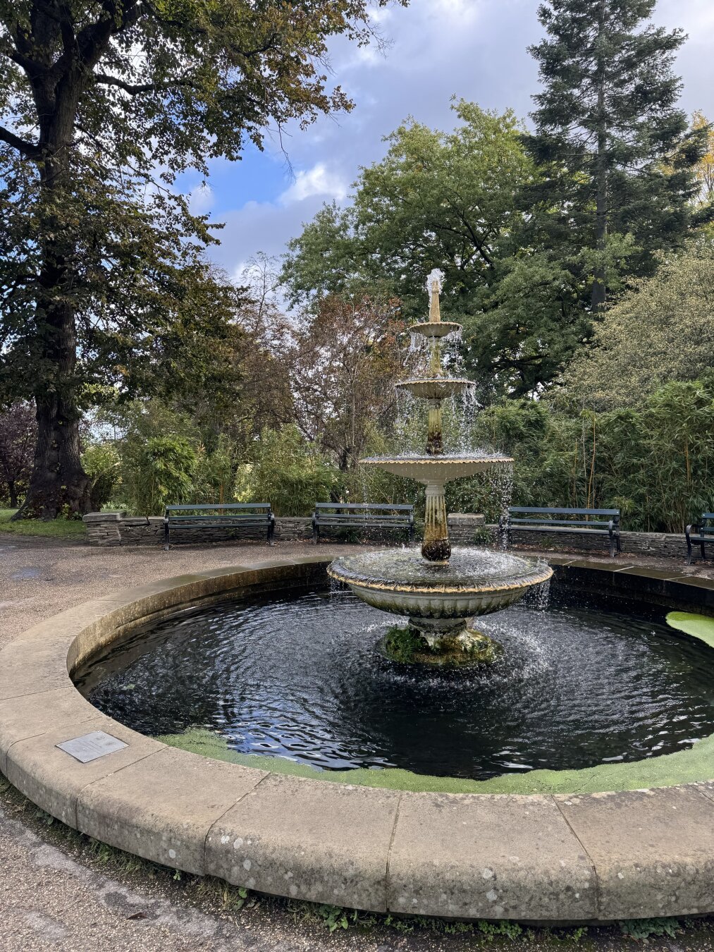 Trip to #sheffield #food #coffee #outside

#everythingisuphillallthetime