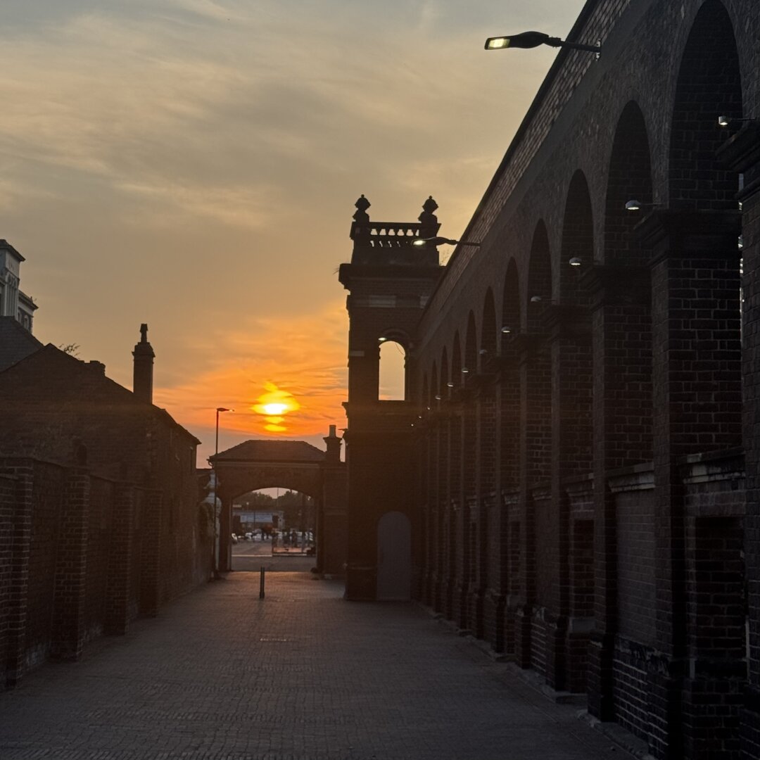 #chester #calm
