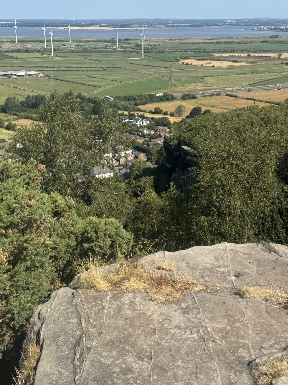 #helsby hill - remains of an #ironage hill fort. But also cows and sheeps.
