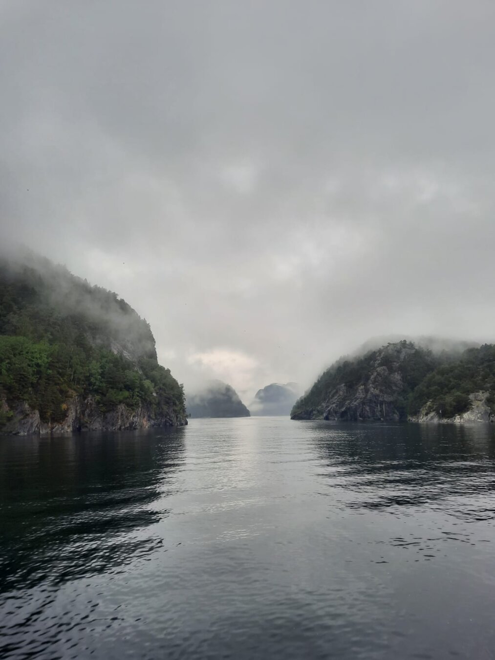 Hardangerfjord, Norway. September 2021.