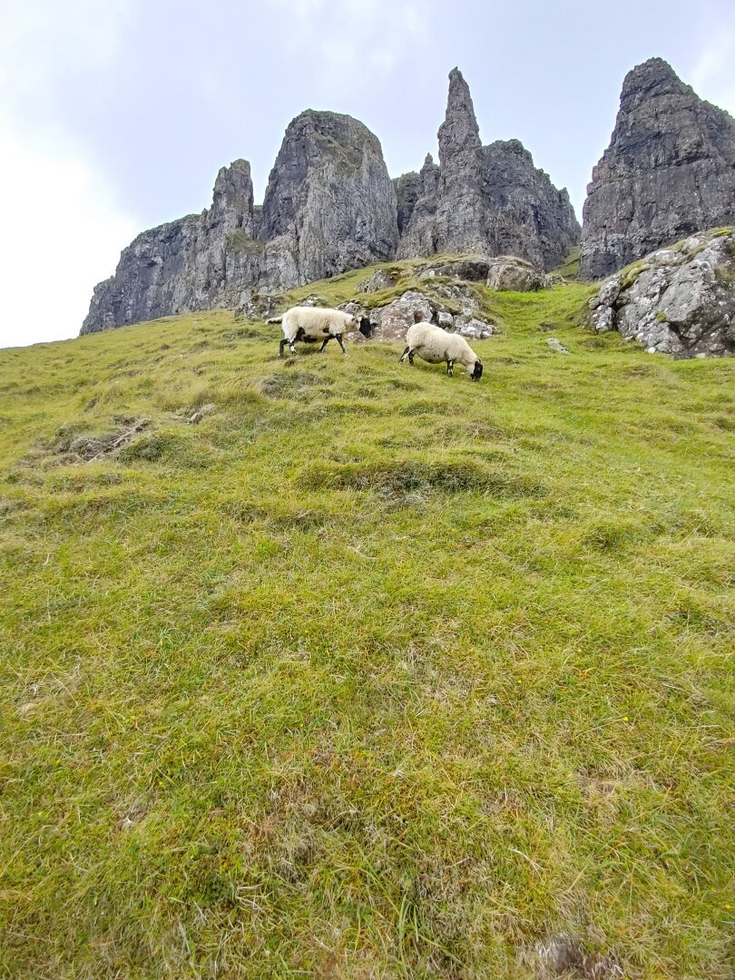 Quiraing, Scotland. August 2024.