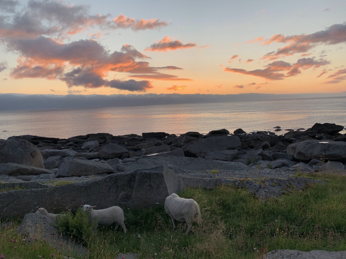 Brunstranda & Nusfjord, Lofoten, Norway. July 2022.