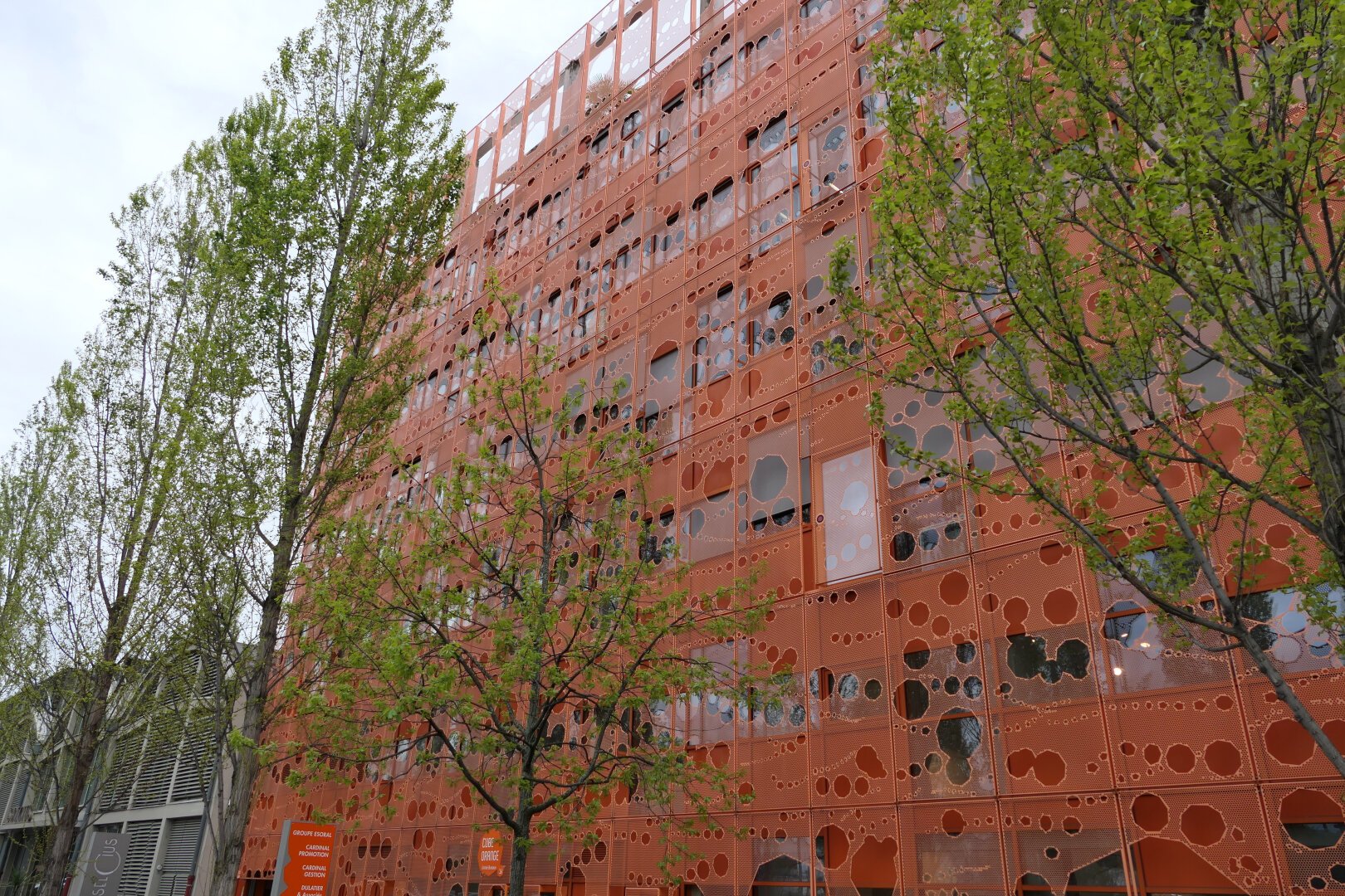 Orangene Wand mit Grünzeug.