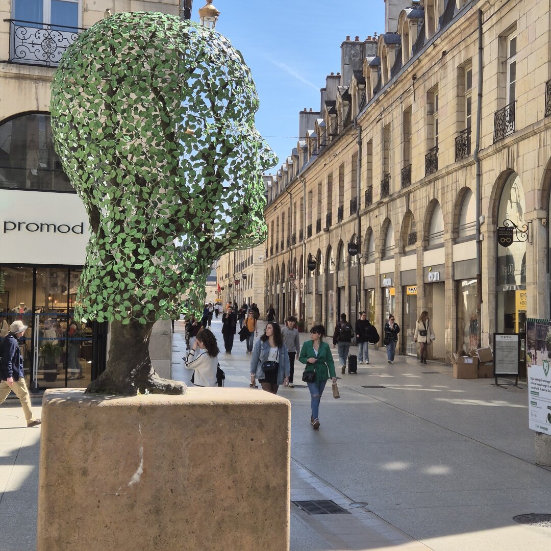 Head in Dijon.