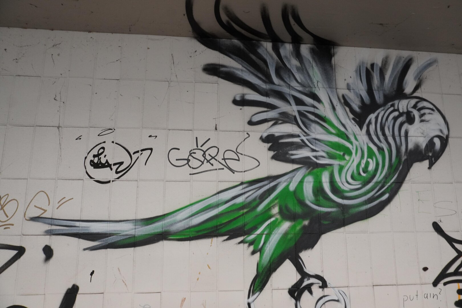The picture shows graffiti of a green bird