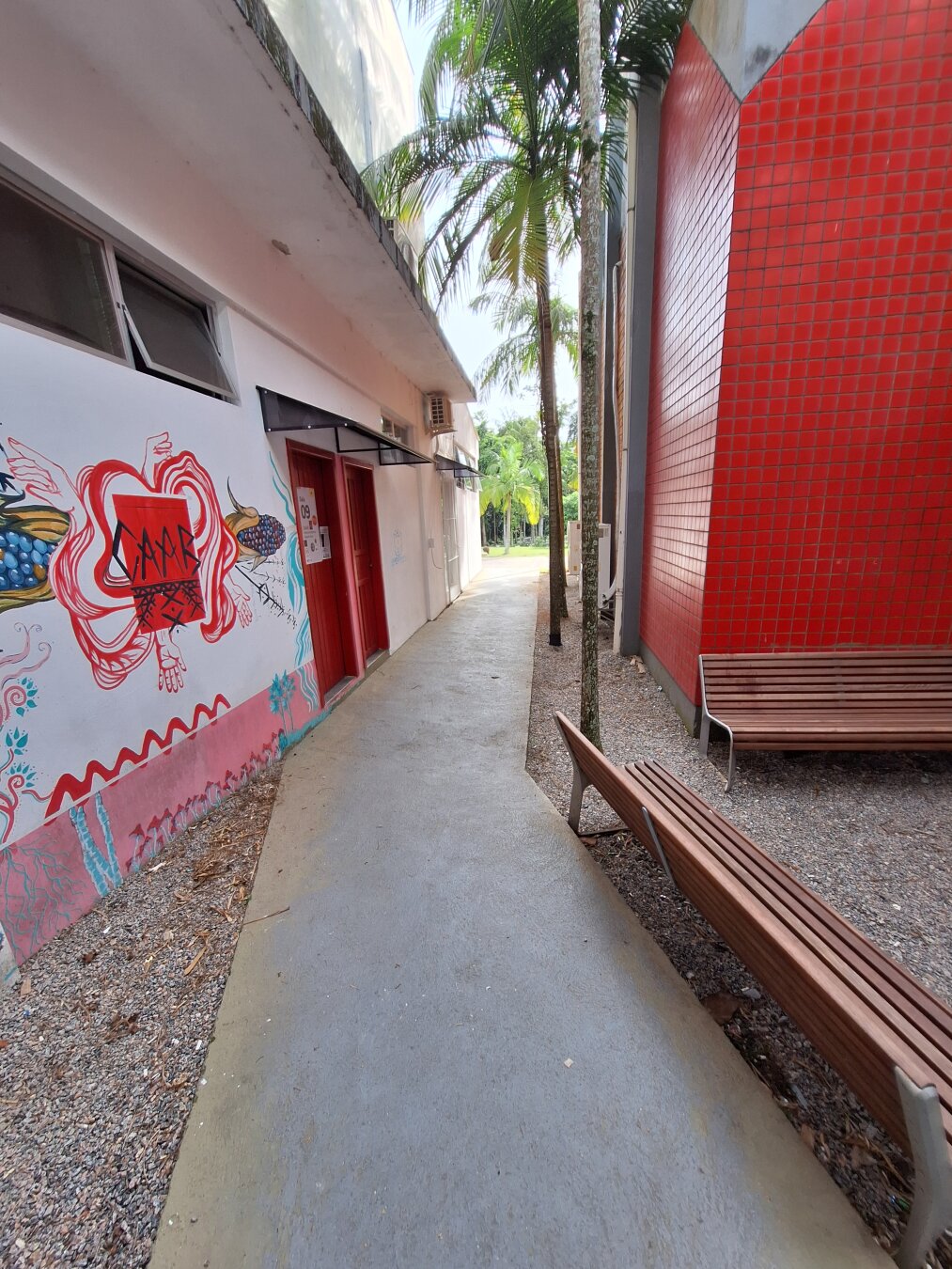 Outdoor walkway between two buildings: on the left, a white wall with red doors and a large colorful mural featuring organic shapes and illustrations; on the right, a wall covered with small red tiles. Wooden benches sit on a gravel surface, and tall palm trees cast shadows. In the distance, the path continues toward a brighter, green open area.