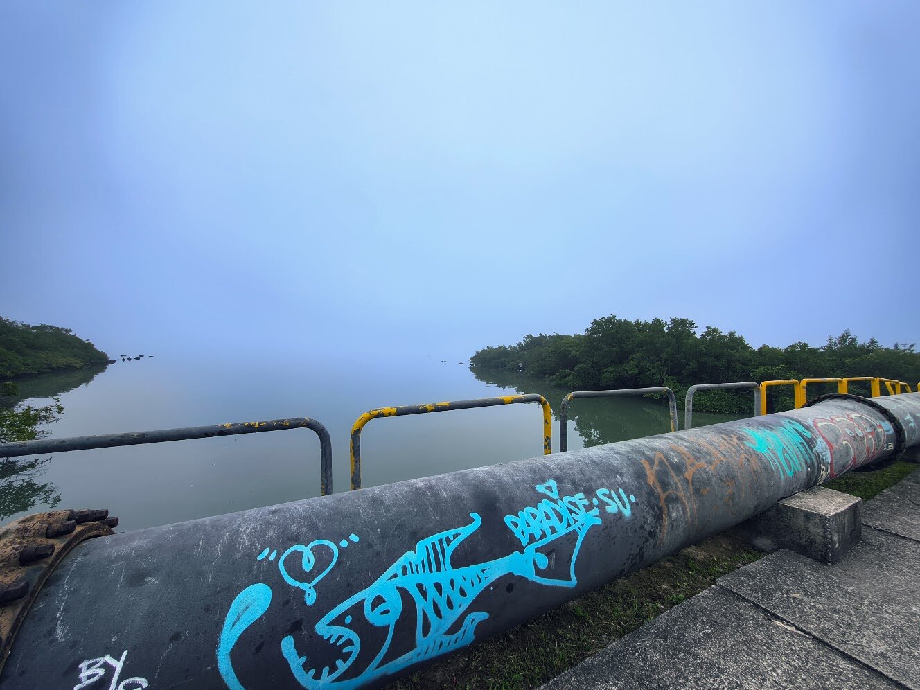 Foggy seascape where sky and water blend into the same pale blue, horizon barely visible. In the foreground, a large industrial pipe crosses the frame diagonally, covered in graffiti: a turquoise skeletal fish, a heart, and the tag "Paradise SU". Rusted metal railings with peeling yellow paint line the water's edge. Dense green mangrove forest borders both sides of the misty channel.