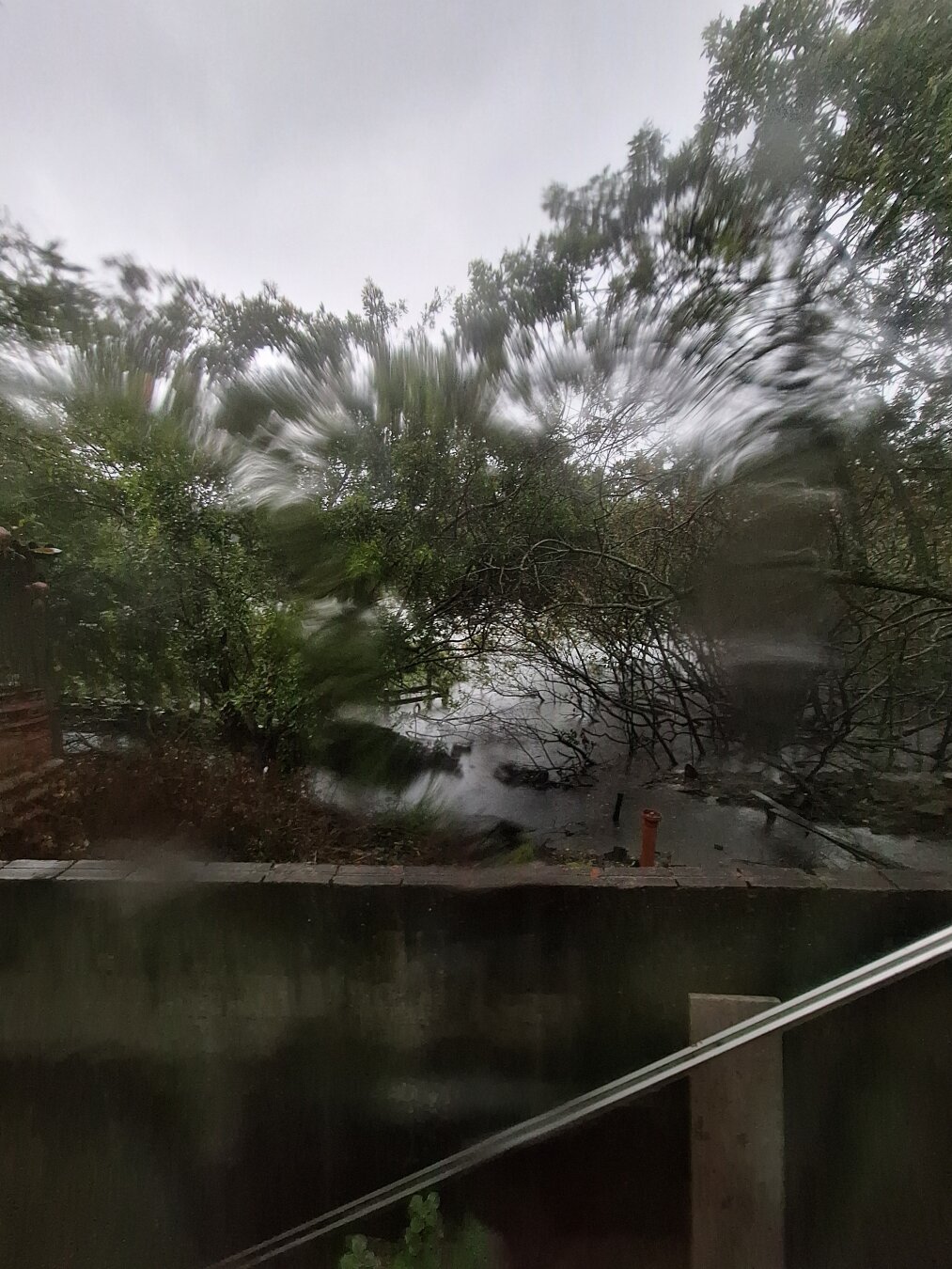 Rain-blurred view of tree branches and foliage outside. The water on the glass creates motion-like distortion, making the greenery appear smeared. A concrete wall and a small flooded ground area are visible below.