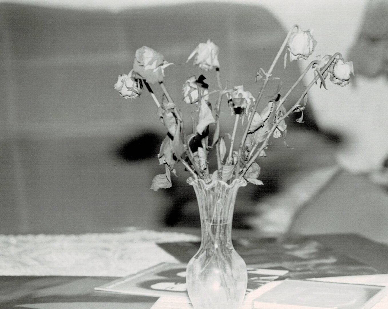 ein in Grautönen fotographiertes Bild von einigen Rosen in einer Vase. Die Rosen sind verwelkt. Um die Vase herum sind - nur schwer zu erkennen - einige Schallplatten zerstreut.