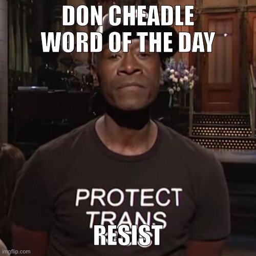 A picture of Don Cheadle wearing a shirt that reads “Protect Trans Kids” with the words “Don Cheadle word of the day: resist”