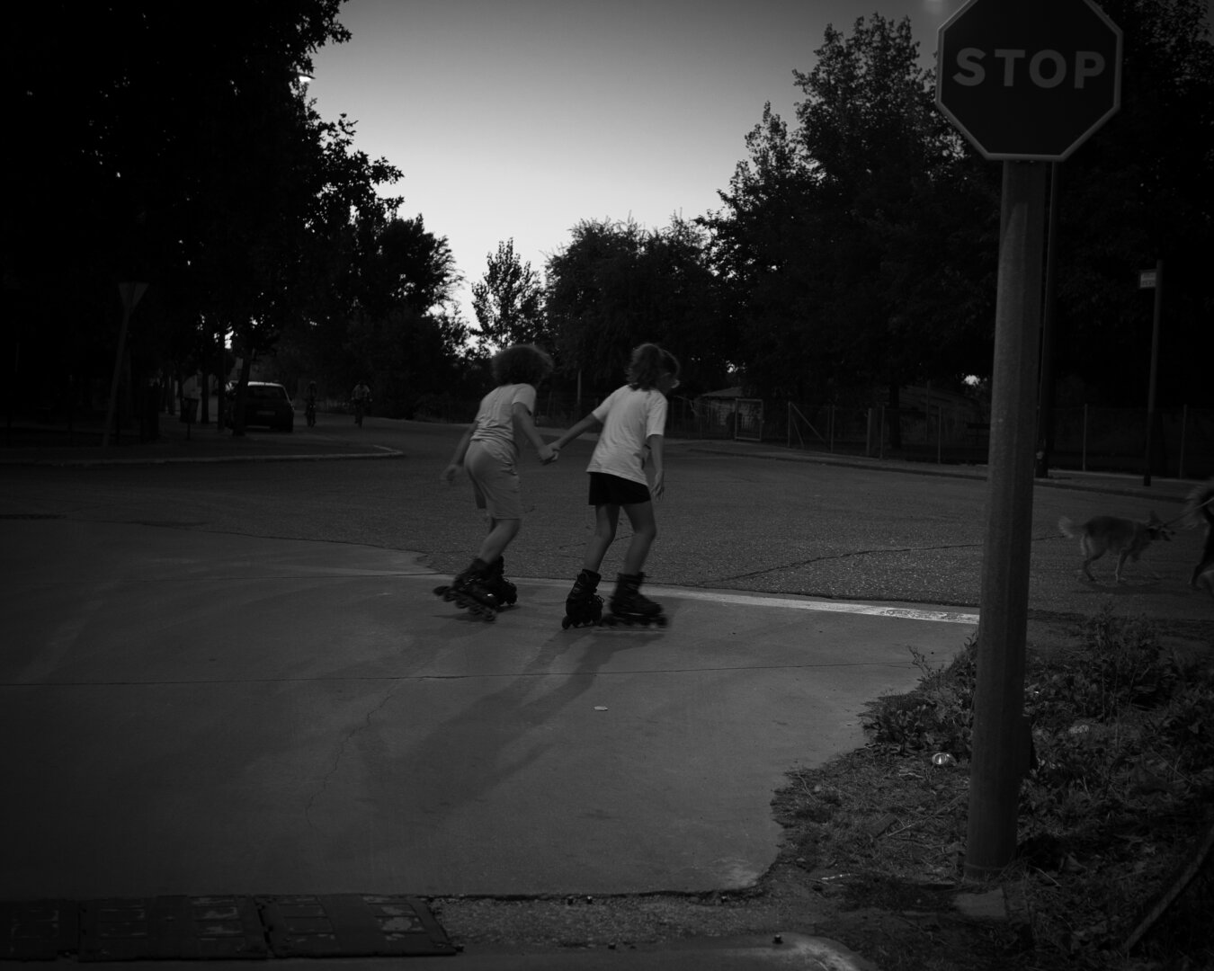 Two skaters crossing at dusk, right beneath a STOP sign.